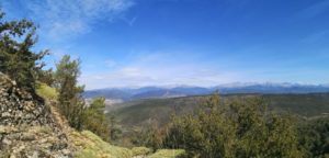 img 20191008 wa0003 e1570523800484