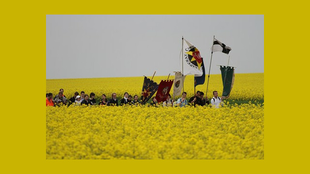 La colonne des pèlerins