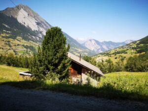 En montant vers le col du Grand-Saint-Bernard